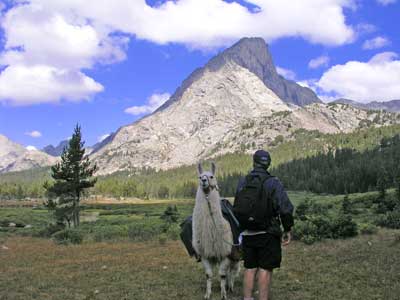 Climbing Lizard Head Peak