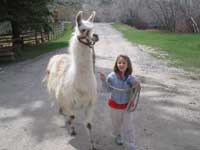 My Llama