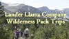 Introduction to Lander Llama Company